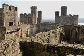 Conwy Castle and walls: by graynomadsusa, Views[242]