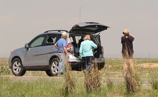 Birding with Tim and Candace