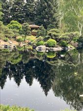 The Japanese Garden is my quiet place at the Denver Botanic Garden: by graynomadsusa, Views[278]