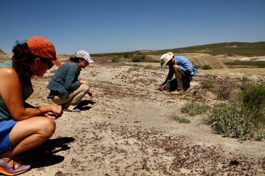 Searching form micro-fossils