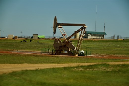 Where there are dinosaurs there is oil!