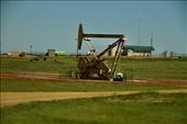 Where there are dinosaurs there is oil!: by graynomadsusa, Views[282]