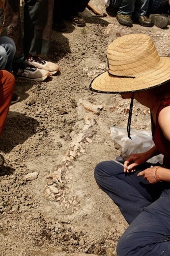 Partially uncovered, the 