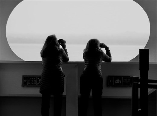Looking for wildlife from Nieuw Amsterdam, Hubbard Glacier