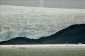 Hubbard Glacier: by graynomadsusa, Views[278]