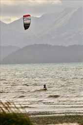 Cold-blooded Kite-surfers, Homer: by graynomadsusa, Views[216]