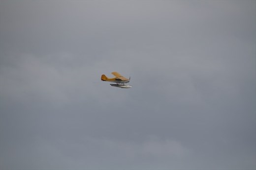 Circling for a landing