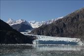 Margerie Glacier, Glacier Bay National Park: by graynomadsusa, Views[274]