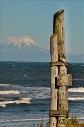 Mt. Redoubt from Homer: by graynomadsusa, Views[318]