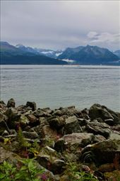 Resurrection Bay, Seward: by graynomadsusa, Views[252]