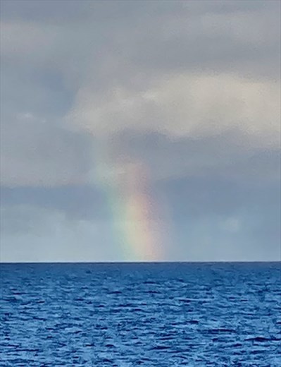 Water, Water Everywhere