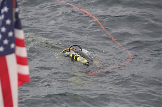 Diver Dan cleaning crew