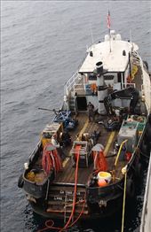 Cleaning Crew: by graynomadsusa, Views[321]