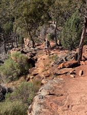 Arkaroo Trail, Flinders Ranges NP: by graynomadsusa, Views[230]