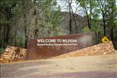 Wilpena Pound, Ikara-Flinders Ranges National Park: by graynomadsusa, Views[700]