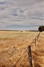 South Australia countryside: by graynomadsusa, Views[249]