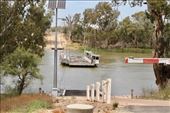 Waikerie Murray Ferry aka 