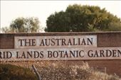 Australian Arid Lands Botanic Garden, Port Augusta: by graynomadsusa, Views[240]