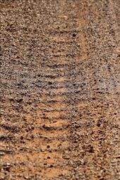 More corrugated washboard roads, Whyalla Conservation Area: by graynomadsusa, Views[258]