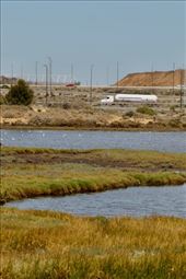 Barker Inlet Wetlands, most definitely Urban: by graynomadsusa, Views[251]