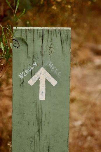 I hope so—Hardy Scrub Trail, Onkaparinga River NP
