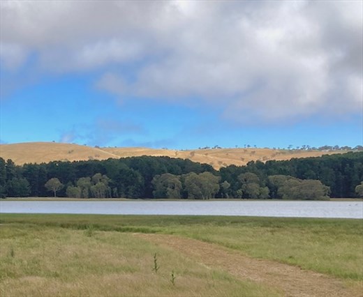 Myponga Reservoir Reserve