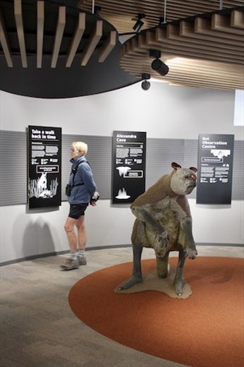 Connie and Giant Short-faced Kangaroo, Naracoota Caves NP