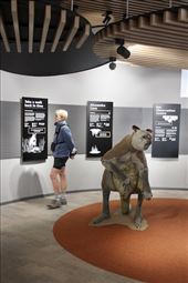 Connie and Giant Short-faced Kangaroo, Naracoota Caves NP: by graynomadsusa, Views[1401]