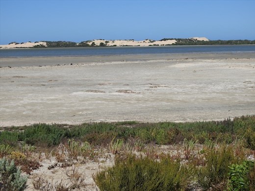Salt Creek, Coorong National Park