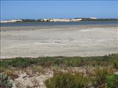 Salt Creek, Coorong National Park: by graynomadsusa, Views[589]
