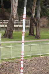 Murray River flood levels, year-by-year: by graynomadsusa, Views[396]