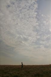Searching for birds, Great Ocean Road, Port Campbell National Pa: by graynomadsusa, Views[271]