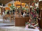 🎶 Oh, Christmas Tree Oh, Christmas Tree 🎶  A Bali Holiday: by graynomadsusa, Views[301]