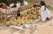 Roadside Durian stand—it tastes better than it smells!: by graynomadsusa, Views[230]