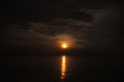 There's a Bad Moon Arising, Amed