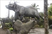 Asian Palm Civet Cat statues for Kopi Lusaka: by graynomadsusa, Views[241]