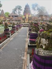 Entering Taman Saraswati, aka Ubud Water Palace: by graynomadsusa, Views[265]
