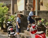 Everyone but Wimps Ride Scooters: by graynomadsusa, Views[598]