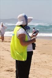 Birdlife Australia Hooded Plover Monitor, Point Lonsdale: by graynomadsusa, Views[184]