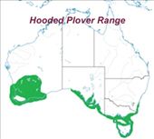 Hooded Plover Range Map: by graynomadsusa, Views[283]