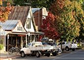 Bright, cutest town on the Great Alpine Road: by graynomadsusa, Views[266]