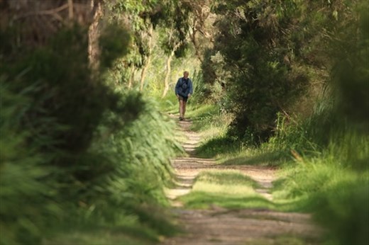 Connie on the trail, MacLeod Morass Wildlife Reserve, Bairnsdale