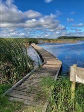 MacLeod Morass Wildlife Reserve, Bairnsdale: by graynomadsusa, Views[387]