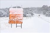 Winter at 1800 meters, Great Alpine Road (internet photo): by graynomadsusa, Views[252]