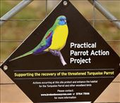 This is what we were looking for: by graynomadsusa, Views[272]