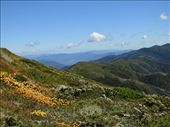 Summit View, Great Alpine Road: by graynomadsusa, Views[395]