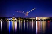 Australia Day Drone Light Show (Canberra Times photo): by graynomadsusa, Views[899]