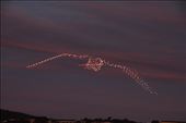 Drone Wedge-tailed Eagle: by graynomadsusa, Views[305]