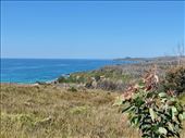 View from Shipwreck Creek Trail, Croajingolong National Park: by graynomadsusa, Views[278]