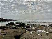 On the rocks, South Durras Beach NSW: by graynomadsusa, Views[1158]